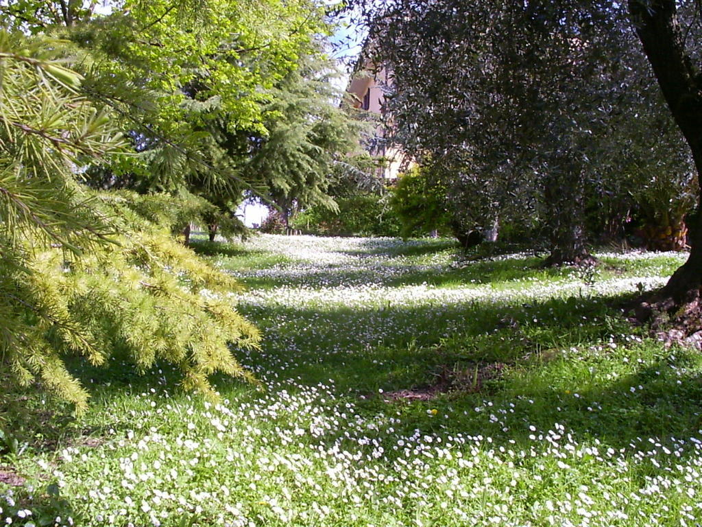 La Vecchia Quercia Bed & Breakfast Selci  Exterior foto